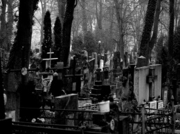 Под Белгородом драгдилеры прятали героин на кладбище
