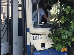 В центре Екатеринбурга маршрутный автобус врезался в дерево