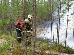 В ХМАО введен режим чрезвычайной ситуации в связи с лесными пожарами