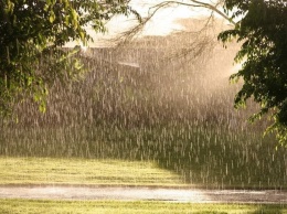 Сегодня в Югре пройдут кратковременные дожди с грозами