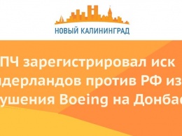 ЕСПЧ зарегистрировал иск Нидерландов против РФ из-за крушения Boeing на Донбассе
