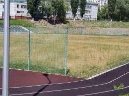 В Белгороде директор спортшколы может лишиться должности из-за травы на стадионе