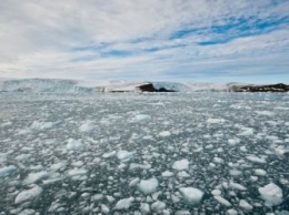 Россияне смогут получить в Арктике бесплатно гектар земли