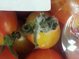 Плесневелые помидоры продавали в супермаркете Благовещенска