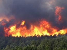 На севере Свердловской области из-за аномальной жары разгорелся пожар в заповеднике
