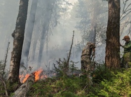 Пожар в заповеднике «Денежкин камень» распространился на 5,5 гектаров