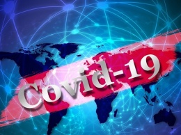В России успешно завершают клинические испытания вакцины от COVID-19