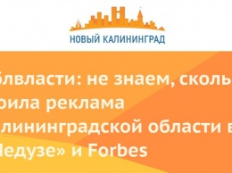 Облвласти: не знаем, сколько стоила реклама Калининградской области в «Медузе» и Forbes