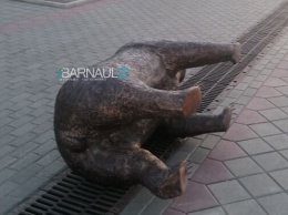 Скульптуру медведя перевернули на Мало-Тобольской в Барнауле