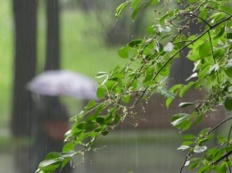 Дожди еще долго не покинут Калужскую область