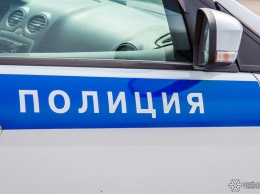 Полицейские вычислили похитителя портрета Тулеева в Кемерове