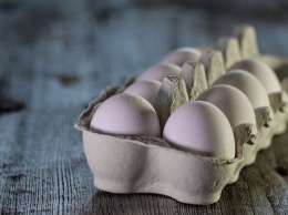 Диетологи выяснили, кому нельзя есть яйца