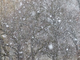 На Алтайский край надвигаются снегопады и метели