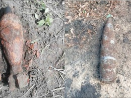 Белгородец нашел у себя в огороде минометную мину