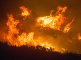 Пожары в ХМАО охватили почти семь тысяч гектаров леса