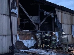Пожар в Барнауле: горел крупный производственный цех