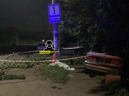 В Новоалтайске шестилетний ребенок погиб под колесами пьяной автоледи