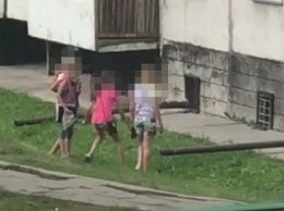 Полиция проводит проверку по сообщению жителей Заринска об издевательствах детей над голубем