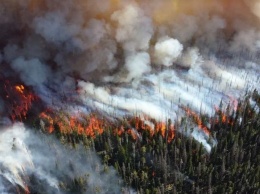 В Свердловской области предупреждают о высоком риске возникновения пожаров