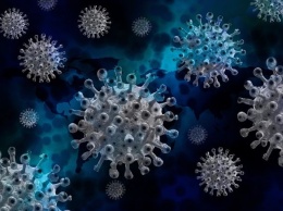 Вспышка агрессивной формы коронавируса произошла во Вьетнаме