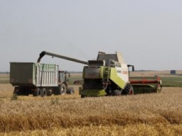 В Приамурье началась уборка ранних зерновых