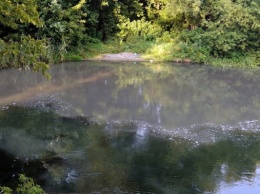 Белгородцы жалуются на сбросы нечистот в реку Оскол