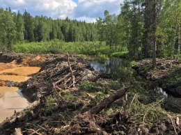 Кузбасские инспекторы уличили пятерых золотодобытчиков в загрязнении реки