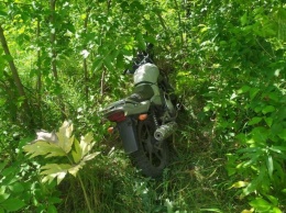 Мотоциклист без прав въехал в дерево в Кузбассе