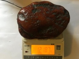 На Янтарном комбинате нашли самородок в 1,2 кг и назвали его «Десантник» (фото)