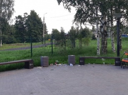 Чья вина: новый петрозаводский сквер на Варкауса буквально «зарос» мусором
