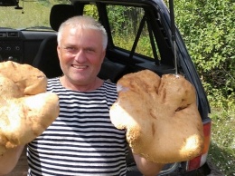 В Алтайском крае снова нашли гигантские грибы