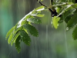 Грозовые дожди ожидаются в Крыму в ближайшие два дня