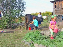 Борьбе с бедностью в Алтайском крае помогут социальные контракты