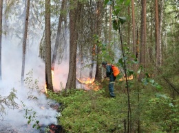 Впервые в Югре не зарегистрировано ни одного лесного пожара