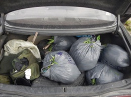 Пять мешков с коноплей нашли в багажнике амурчан инспекторы ДПС