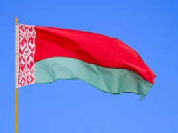 Оппозиция Белоруссии заявила о планах выйти из кризиса без изменения конституции