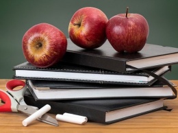 «Теоретически готовы»: первые четверти в алтайских школах пройдут в особом режиме