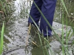 Две амурчанки увязли в болоте в поисках грибов