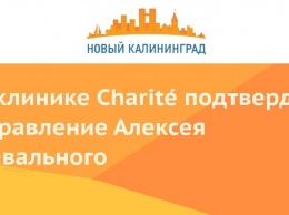 В клинике Charit? подтвердили отравление Алексея Навального