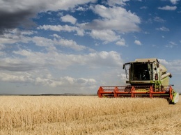 Уборка-2020. В Алтайском крае собрано более 1,3 млн тонн зерна