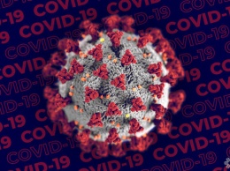 Данные о повторном заражении коронавирусом главы сибирского региона не подтвердились