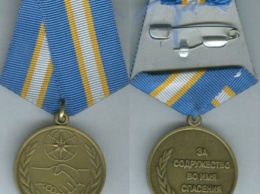 Кузбасский школьник получил медаль за спасение сестры