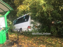 Пассажирский автобус слетел с дороги в Кемерово