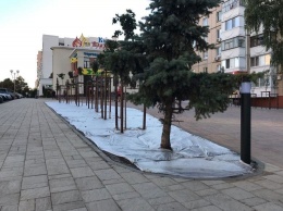 В Белгороде благоустроили сквер на улице Спортивной