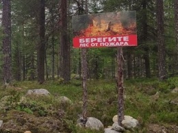 В Карелии снова разрешили разжигать костры в лесах