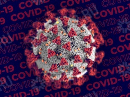 Пик объема поставок вакцины от коронавируса в России ожидается в конце осени
