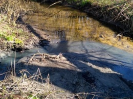 В Калининграде нашли десятки незаконных выпусков сточных вод в ручей Лесной