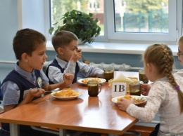 Родителей Барнаула призвали взвешенно подходить к оценкам бесплатного школьного питания