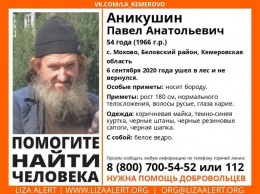 Кузбасские волонтеры ушли в тайгу на поиски бородатого мужчины с ведром