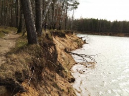 Суд назначил экспертизу ущерба от вырубок леса за 20 лет в поселке Космодемьянского